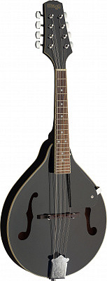 STAGG M20 BLK мандолина
