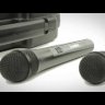 PROAUDIO DWS-807PT радиосистема с двумя петличными микрофонами и передатчиками + кейс