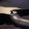 DBZ Bird Of Prey ST 7 Matte Black электрогитара