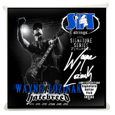 SIT Strings SS-S1158WL - Струны для электрогитары 11-58