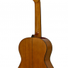 ARIA A-20-53 Классическая гитара 1/2