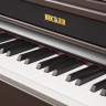 Becker BAP-72R цифровое пианино