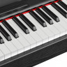Цифровое фортепиано EMILY PIANO  D-47 BK