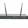 INVOTONE WM250 радиосистема с двумя ручными микрофонами