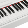 Цифровое фортепиано EMILY PIANO  D-47 WH