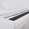 Artesia DP-7 White Satin цифровое пианино
