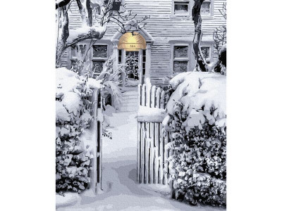 Картина по номерам 40х50 БЕЛЫЙ СНЕГ УКРАСИЛ ГОРОД (16 цветов)