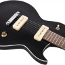 ARIA PE-TR2 STBK электрогитара