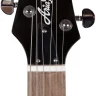 ARIA PE-TR2 STBK электрогитара