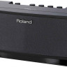 ROLAND CUBE-LT-BK гитарный комбоусилитель со встроенным iOS интерфейсом