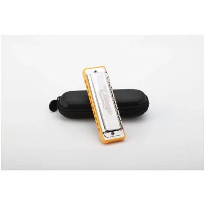 Губная гармоника диатоническая JDR Chicago C