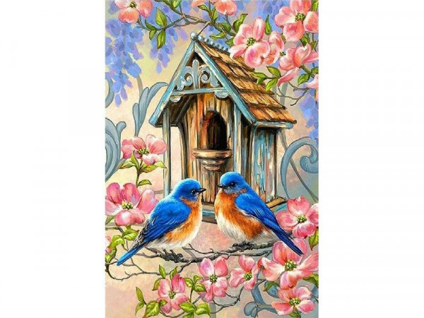 Набор юного художника 20х30 ПТИЦЫ У СКВОРЕЧНИКА 17 цветов)