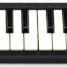 AKAI PRO LPK25, портативная USB/MIDI-клавиатура, 25 чувствительных мини-клавиш, арпеджиатор, кнопка сустейна, питание по USB