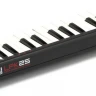 AKAI PRO LPK25, портативная USB/MIDI-клавиатура, 25 чувствительных мини-клавиш, арпеджиатор, кнопка сустейна, питание по USB
