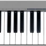 MIDI-клавиатура ACORN Masterkey 49