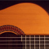 Almansa 434 4/4 классическая гитара