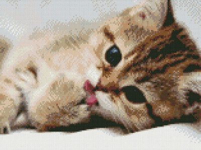 Алмазная мозаика с нанесенной рамкой 40х50 ПОСЛЕ ОБЕДА (24 цвета)