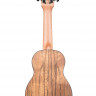 KALA KA-PWS Kala Pacific Walnut Soprano Ukulele укулеле-сопрано