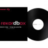 PIONEER RB-VS1-K Тайм-код пластинка для rekordbox DVS