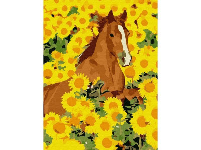 Картина по номерам 15х20 ЛОШАДЬ В ПОДСОЛНУХАХ (13 цветов)