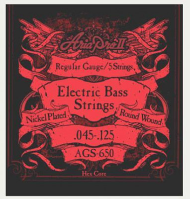 Струны ARIA AGS-650