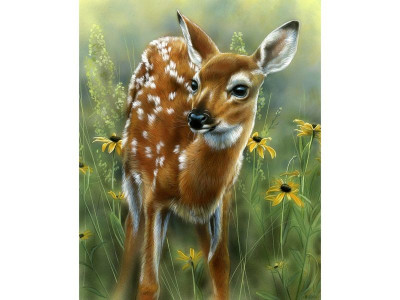 Картина по номерам с цветной схемой на холсте 30х40 Олененок (22 цветов)