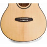 Акустическая гитара TOM GA-T1M