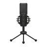 Микрофон BEHRINGER BU200 конденсаторный, кардиоида