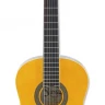 ARIA FIESTA FST-200-53 N 1/2 классическая гитара
