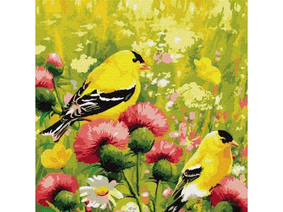 Картина по номерам 30х30 Иволги (21 цвет)