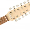 FENDER ELECTRIC XII PF 3TSB 12-струнная электрогитара с чехлом
