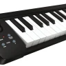 KORG microKEY 25, клавишный MIDI-контроллер, 25 мини-клавиш