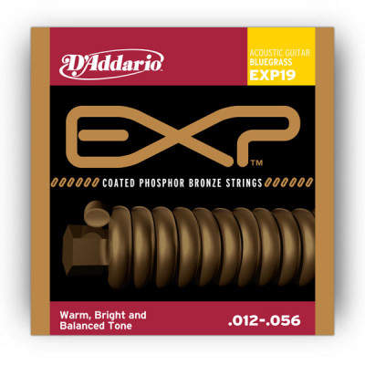 D'Addario EXP19